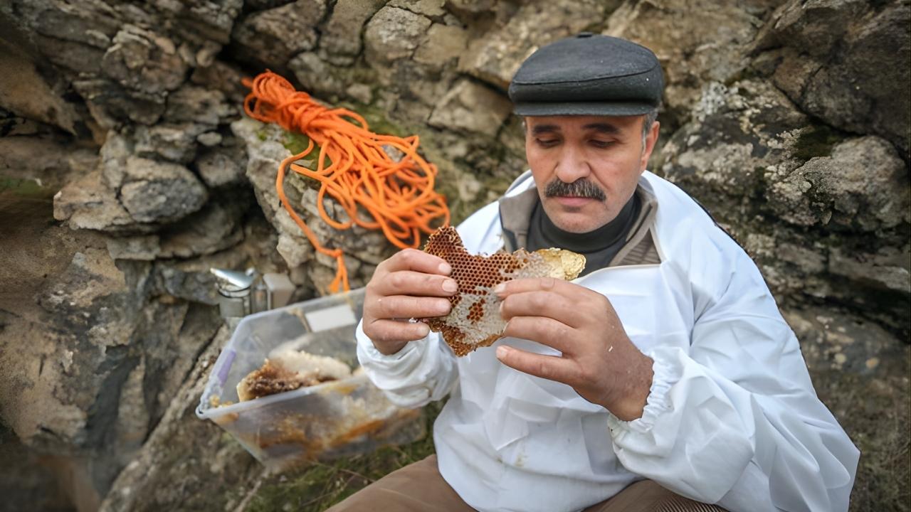 Çelebi Arıcılık Wins Top Prize at London Honey Awards 2025